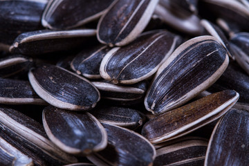 Sunflower seeds closeup on the table. Cereals. Healthly food.