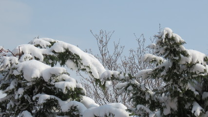 Nevicata  