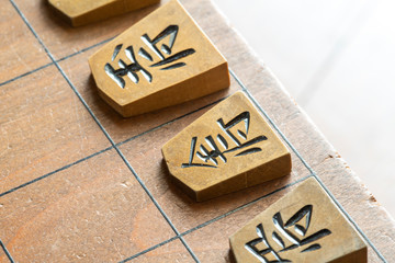 将棋盤上の駒