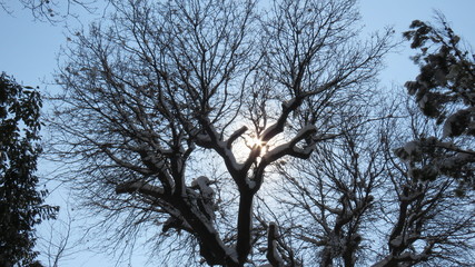 Nevicata  