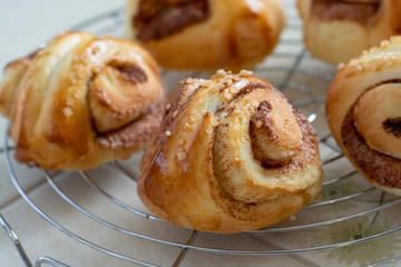 自宅でパン作り　シナモンロール　焼きたてのシナモンロールをケーキクーラーの上に並べる
