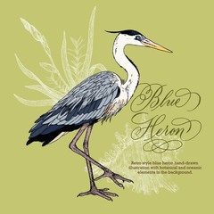 Retro style hand-drawn blue heron and seashell vector illustration with botanical and oceanic decorative elements.