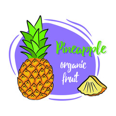 Bright vector illustration of pineapple whole and slices on a colored background.