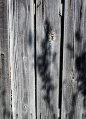 A lot of round wooden sticks close up.