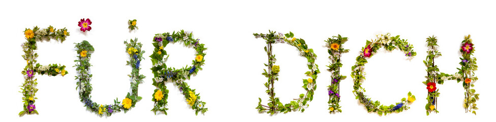 Flower, Branches And Blossom Letter Building German Word Fuer Dich Means For You. White Isolated Background
