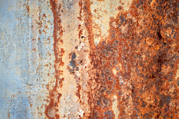 A fence made of old zinc