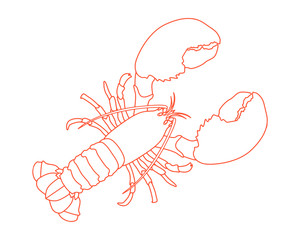 Crayfish outline. Isolated crayfish on white background