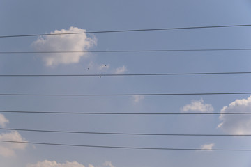 Strom-Leitungen