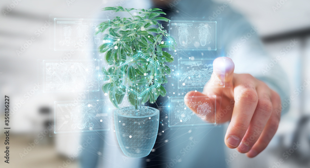 Leinwandbilder man holding and touching holographic projection of a plant with digital analysis 3d rendering