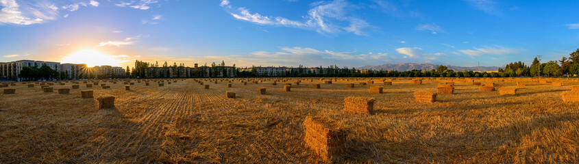 Sunset over haystacks in the field