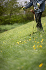 Close-up of a worker in protective clothing with a gas mower in his hands. A man mows grass with dandelions on a hilly lawn with a trimmer.