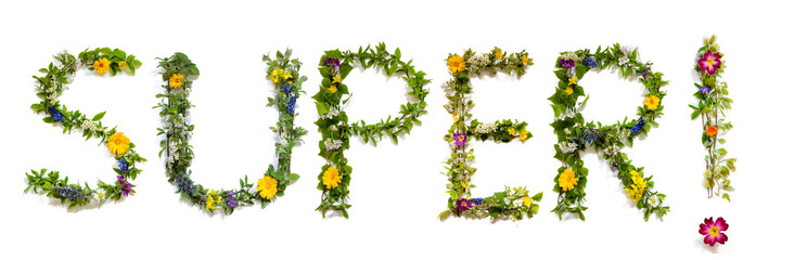 Flower, Branches And Blossom Letter Building English Word Super. White Isolated Background