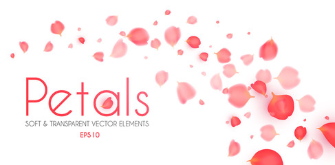 Flying petals abstract background. Cosmetics, wedding and fashion background. Soft romagic blooming wind.