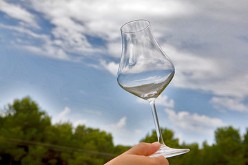 copa vino
