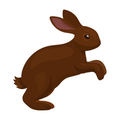 Rabbit vector icon.Cartoon vector icon isolated on white background rabbit.