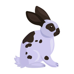 Fototapeta na wymiar Rabbit vector icon.Cartoon vector icon isolated on white background rabbit.