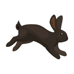Rabbit vector icon.Cartoon vector icon isolated on white background rabbit.