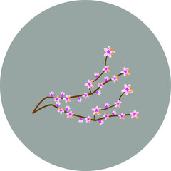 almond branch with flowers illustration for web and mobile design.