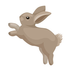 Rabbit vector icon.Cartoon vector icon isolated on white background rabbit.