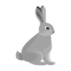 Rabbit vector icon.Cartoon vector icon isolated on white background rabbit.