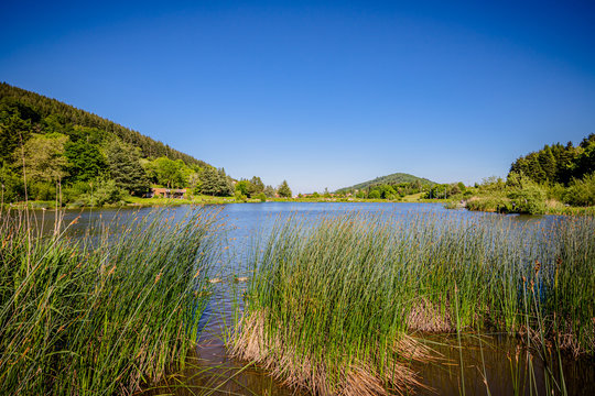 Lac du Ronzey &agrave; Yseron