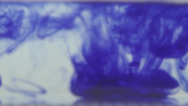 This is the second clip of an ink experiment I shot for a tattoo documentary. This input can be altered in many ways and also be used in a dreamy kind of sequence. Edit away!