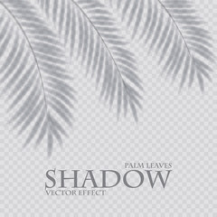 Palm leaf shadow transparent effect. Exotic design element.