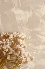 gray cement color background with spring flowers on the desktop.
Flowers immortelle the coloring is white  