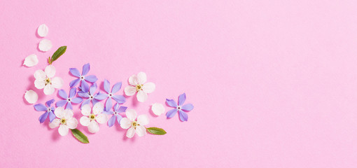 spring  flowers on pink background