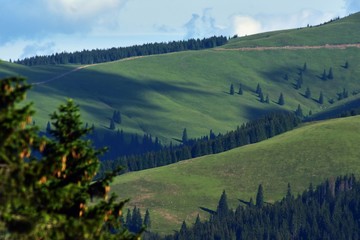 mountain landscape with green meadows and trees in a beautiful spring sunny day