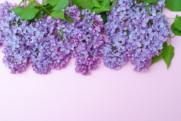 Beautiful spring lilac flowers on light pink background. Flat lay top view picture with copy space for text Banner sight