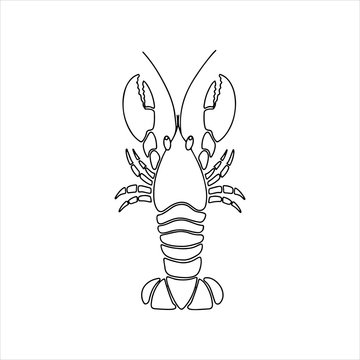 lobster outline