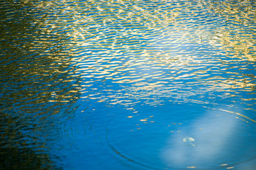 Texture acqua luci riflesse vegetazione