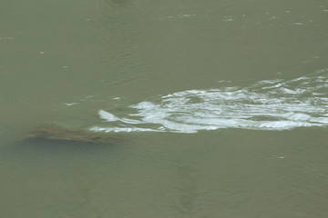 Rock in the water of a river creating waves on the surface of the current