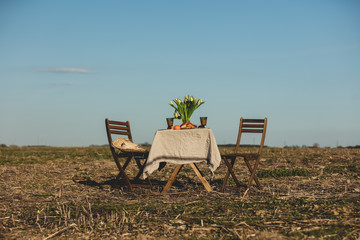 Two chairs and table ready for a dinner at country field