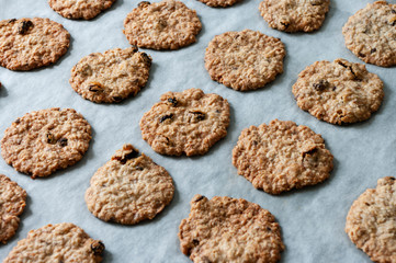 Oat cookies, fresh baked from oven. Healthy snack.