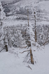 Fototapeta premium Śnieżna Góra