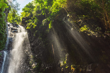 Beautiful waterfall on Bali island. Indonesia