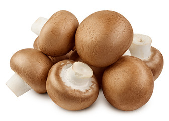 champignon, mushroom, isolated on white background, clipping path, full depth of field