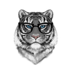 Tiger portrait. Illustration in hand drawn style