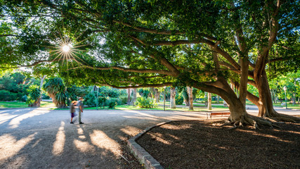 Old people with masks walking in the park against the sun