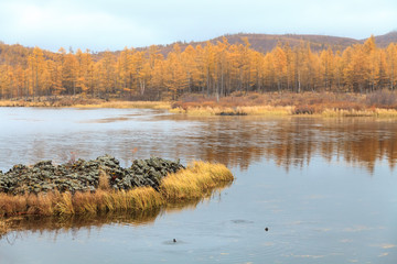 Rhododendron Lake  in Aershan, Inner Mongolia, China