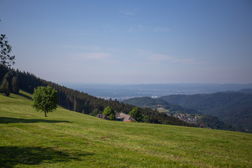 Fototapeta premium The View Of Schauinsland From Geiersnest, St. Ulrich, Freiburg