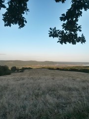 Obraz premium village in the forest in autumn season witch colorfully trees and blue sky 