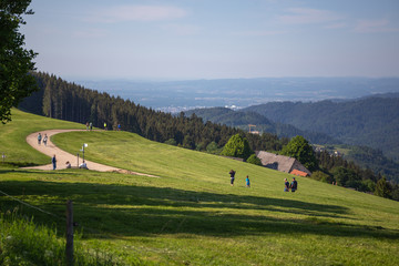 The View Of Schauinsland From Geiersnest, St. Ulrich, Freiburg