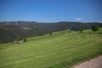 Obraz premium The View Of Schauinsland From Geiersnest, St. Ulrich, Freiburg