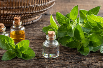 Bottles of essential oil with fresh oregano
