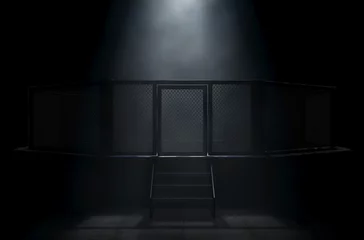 Fotobehang MMA Cage Door Spotlight © alswart