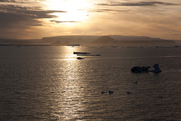 Antarctica landscape with the ocean in the sunset