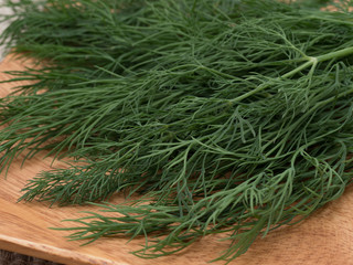 ハーブ　ディル